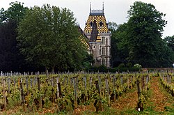 Château de Corton André