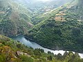 Miniatura para Río del Oro (Asturias)