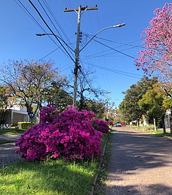 Avenida Arlindo Pasqualini, no bairro Jardim Isabel.