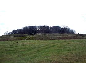 Photo d'une colline basse couronnée d'arbres