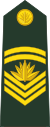 Бангладеш-армия-OR-7.svg
