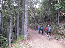 Mountain biking on Mount Tamalpais, California, USA Biking on Mount Tamalpais.JPG