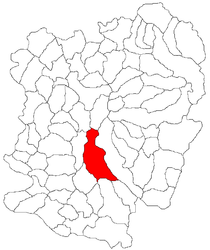 Location in Caraș-Severin County