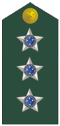 Insignia de capitán del Ejército.