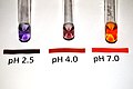 Kongorot und Kongopapier bei drei verschiedenen pH-Werten