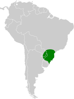 Distribución geográfica del curutié oliváceo.