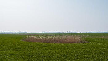 Dobbe aan zuidzijde van de weg