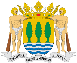 Escudo de Guipuzcoa: «Escudo de un solo cuarte...