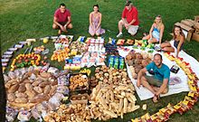 Food recovered by food waste critic Robin Greenfield in Madison, Wisconsin, from two days of recovery from dumpsters Food Waste Fiasco (15819007150).jpg