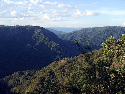 Vista del parc