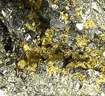 Gold in pyrite Gold-Pyrite-263192.jpg
