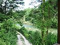 Veduta del Lago del Vaglio da una delle torri per il "birdwatching". Il lago ospita pesci, batraci, uccelli acquatici e molte specie botaniche di area umida.