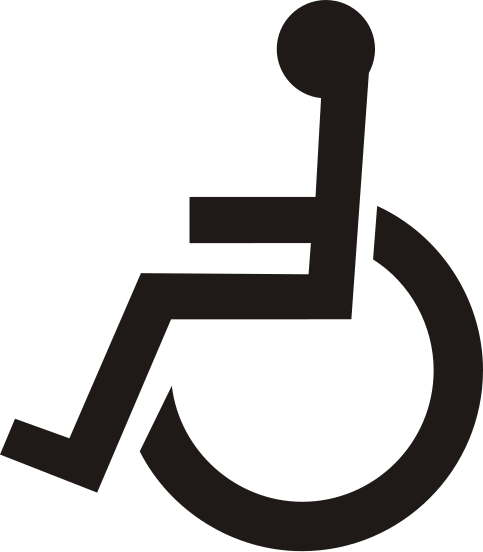 Handicap Disability