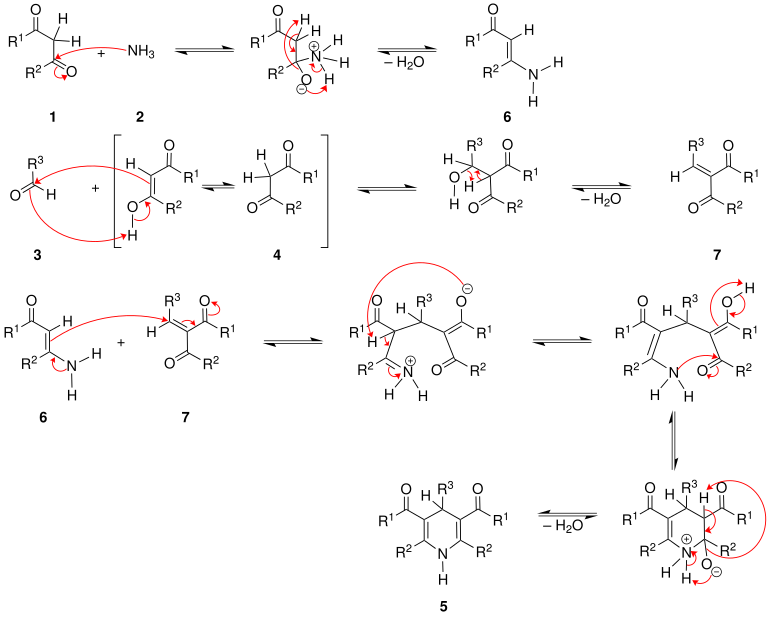 Mechanismus der Hantzschschen-Dihydropyridinsynthese