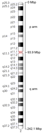 Map of Chromosome 2