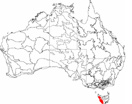 IBRA 6.1 Tasmanian West.png
