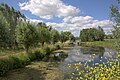 Nature near Waarder