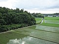 2019年2月1日 (金) 01:32時点における版のサムネイル