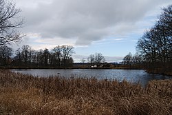 Kotýřinský rybník na Jickovickém potoce