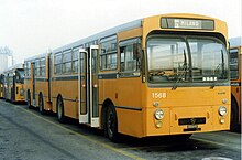 Lancia Esagamma דגם 703 - אוטובוס