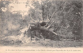 Le Clovis en proie aux flammes, brisé, photographié probablement pendant l'incendie.