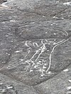 Petroglyph im Ku-ring-gai-Chase-Nationalpark