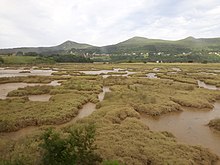 Salt marshes Marismas del Oka 03.jpg
