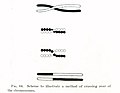 Image 4Thomas Hunt Morgan's illustration of crossing over, part of the Mendelian-chromosome theory of heredity (from History of biology)