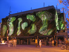 Mur végétal sur les Halles d'Avignon