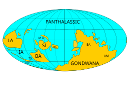 Planisphère de l'Ordovicien vers 460 Ma.