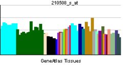 PBB GE KCNQ2 210508 s at tn.png