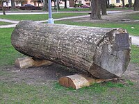 Pomník památného stromu jasanu ztepilého, Kamenný Újezd