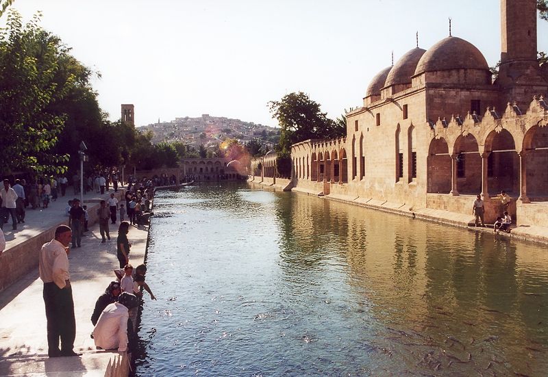 Dosya:Pool Urfa Turkey.jpg