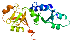 Protein NIP7 PDB 1sqw.png