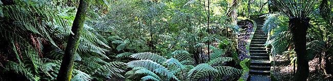 Rainforest walk national botanical gardens.jpg