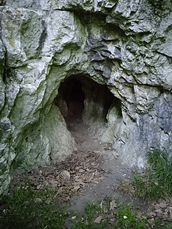 A Remete-hegyi 3. sz. barlang bejárata