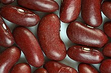 Reniform kidney bean seeds Reniform kidney bean seeds.jpg