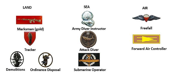 SANDF Additional Special Forces Proficiencies