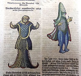 #1 (c. 1546) Painted woodcuts of the sea monk (#1; left) and sea bishop (the latter also thought by some to be based on a giant squid[299]), issued in 1669 and based on Conrad Gessner's originals from 1558 (themselves based on Rondelet's).