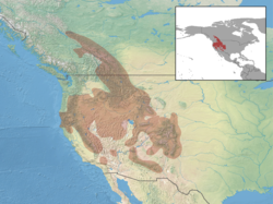 Spermophilus lateralis distribution.png