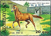 Сарван. 1987