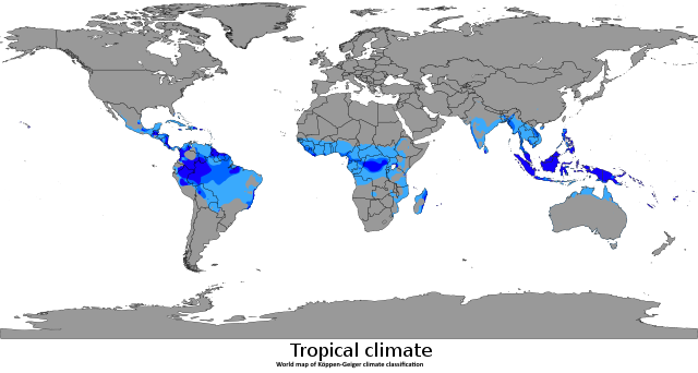 Os moluscos da família Ficidae são distribuídos nas costas e oceanos das regiões de clima tropical da Terra, em regiões específicas.