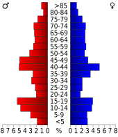 Bevolkingspiramide Jones County