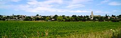 View of sutton.jpg