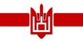 Біло-червоно-білий прапор із колонами Ґедиміна у формі тризуба білоруської діаспори в Україні, який також використовує полк імені Кастуся Калиновського[8][9]