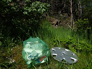 Resultatet av en timmes plogging i Sävedalen, Partille den 29 maj 2020.