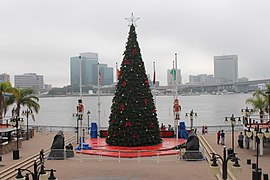 The 2016 Christmas tree lighting located near the Acosta Bridge