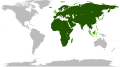 Example image; the contiguous landmass of Afro-Eurasia is dark green, while the non-contiguous landmasses of Afro-Eurasia are a lighter green.