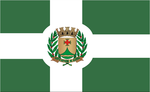 Флаг Санту-Антониу-да-Алегрия