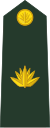 Бангладеш-армия-OF-3.svg